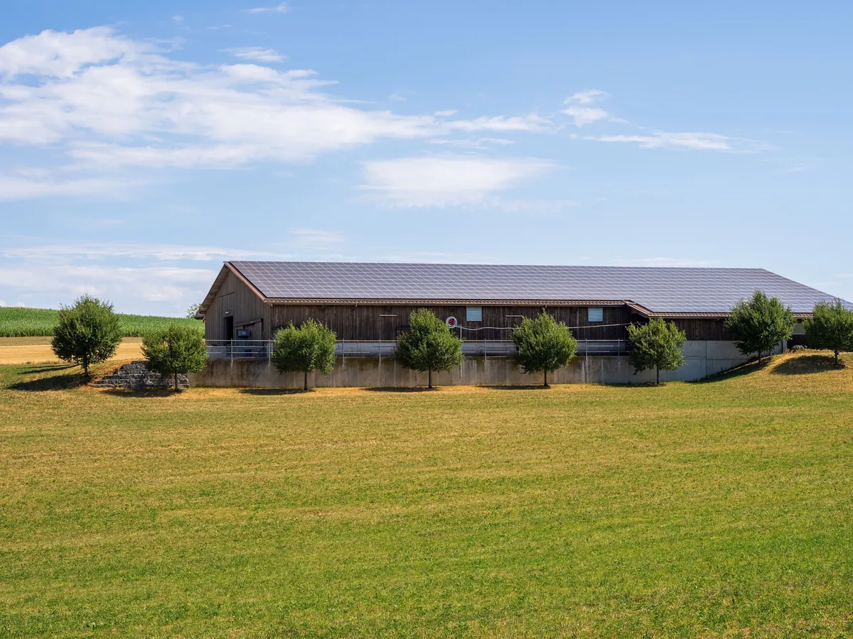 Solar panels covering a long farm shed roof in a rural setting